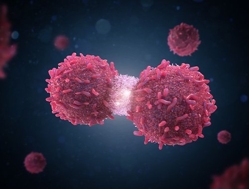 UOSD Cellular Networks and Molecular Therapeutic Targets