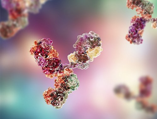 UOSD Immunology and Immunotherapy