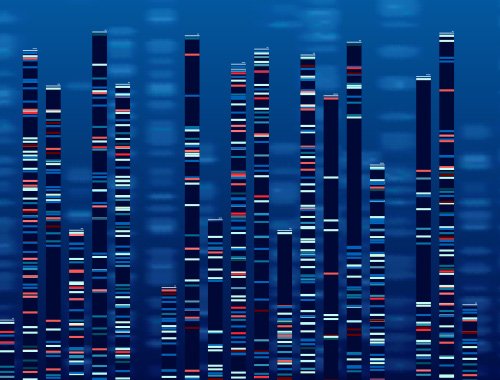 Computational Biology