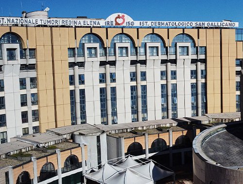 Scientific Directorate ISG