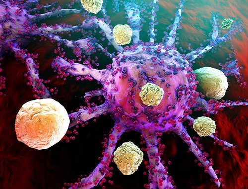 Line 2: Cancer Immunology and Immunotherapy