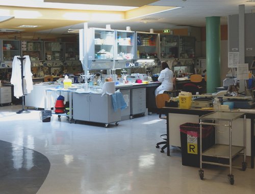 IRE Ministry of Health – Research Lines