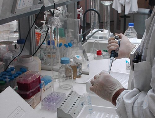 LINE 1 - PRECLINICAL STUDIES